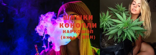 СК Каменногорск