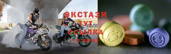 СК Каменногорск