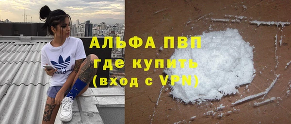 СК Каменногорск